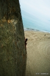 Rachelle Leah Reaching High