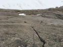 P6 - the Barb's Crux