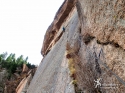 Looking up P3. \'Shock Treatment\', Big Rock Candy Mountain - South Platte, CO.