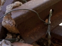 The support beam is held together by guy wire.