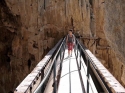 The bridge!