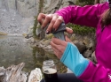 Step 8 - Securely reattach reaction cup to carbonator bottle cap and then that to the carbonator bottle