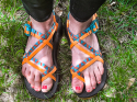 chaco-header