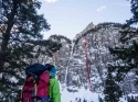 Bird Brain Boulevard Topo