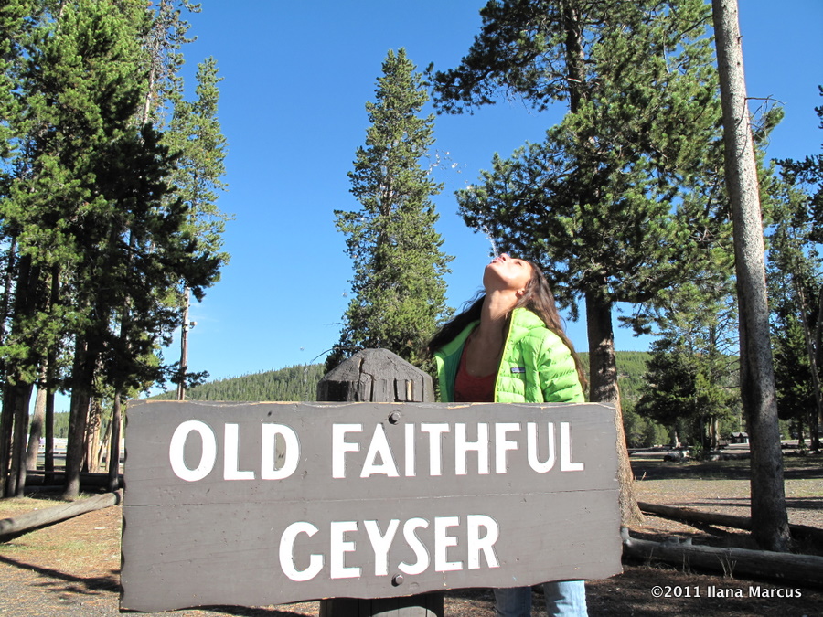 Old Faithful Geyser, Yellowstone NP